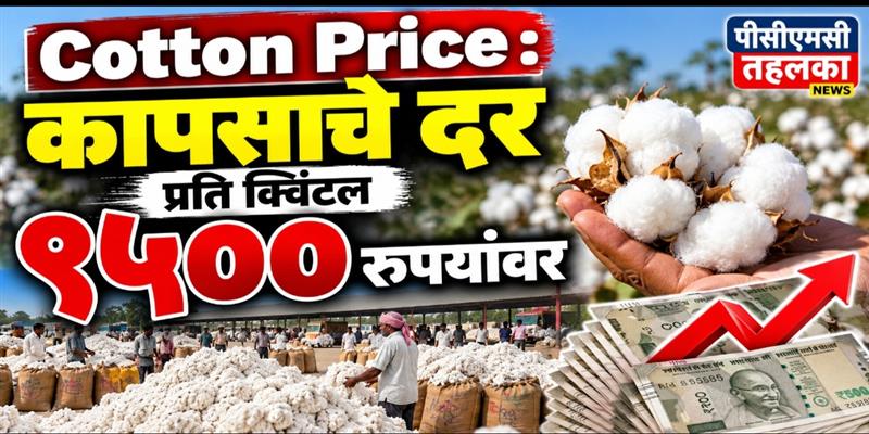 PCMC तहलका
