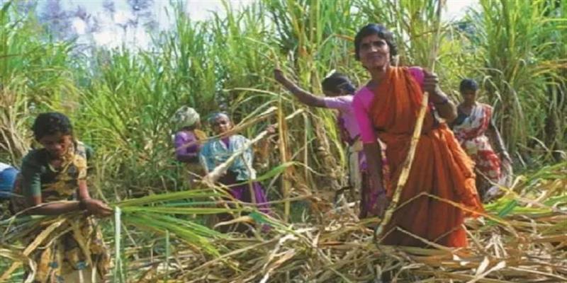 PCMC तहलका