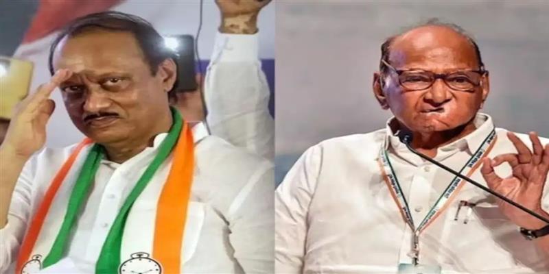 PCMC तहलका