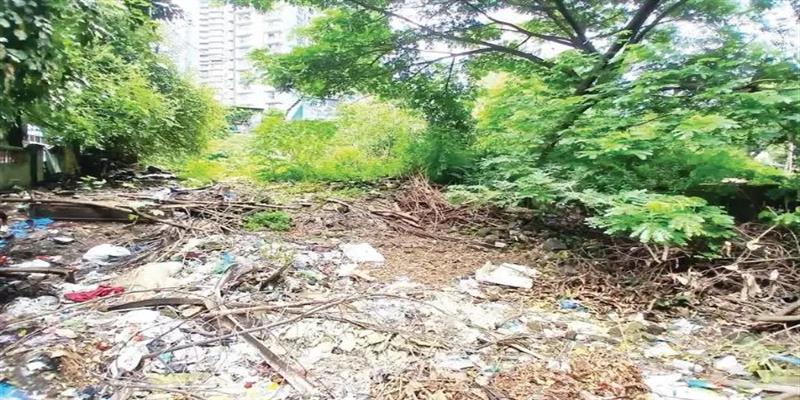 PCMC तहलका